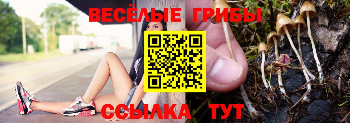 Галлюциногенные грибы мицелий Конаково