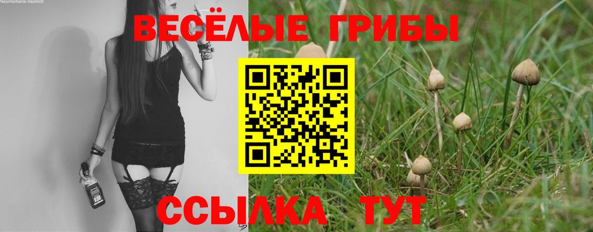 Галлюциногенные грибы Psilocybine cubensis  Вход с VPN  Псилоцибиновые грибы ЛСД  Конаково 